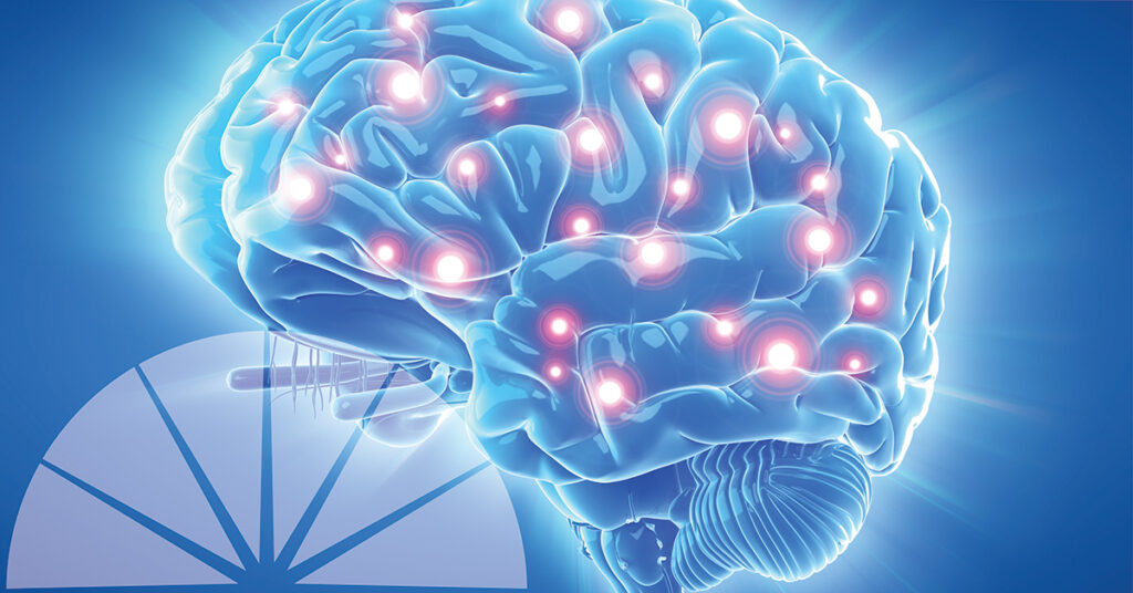 Funcionamiento Del Sistema Sináptico En El Cerebro Guía Completa 5140