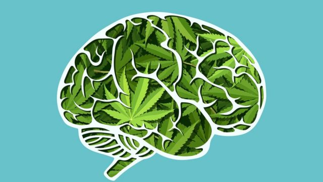 Cannabis y cerebro