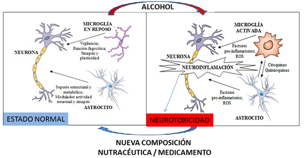 neuronas dañadas por alcohol