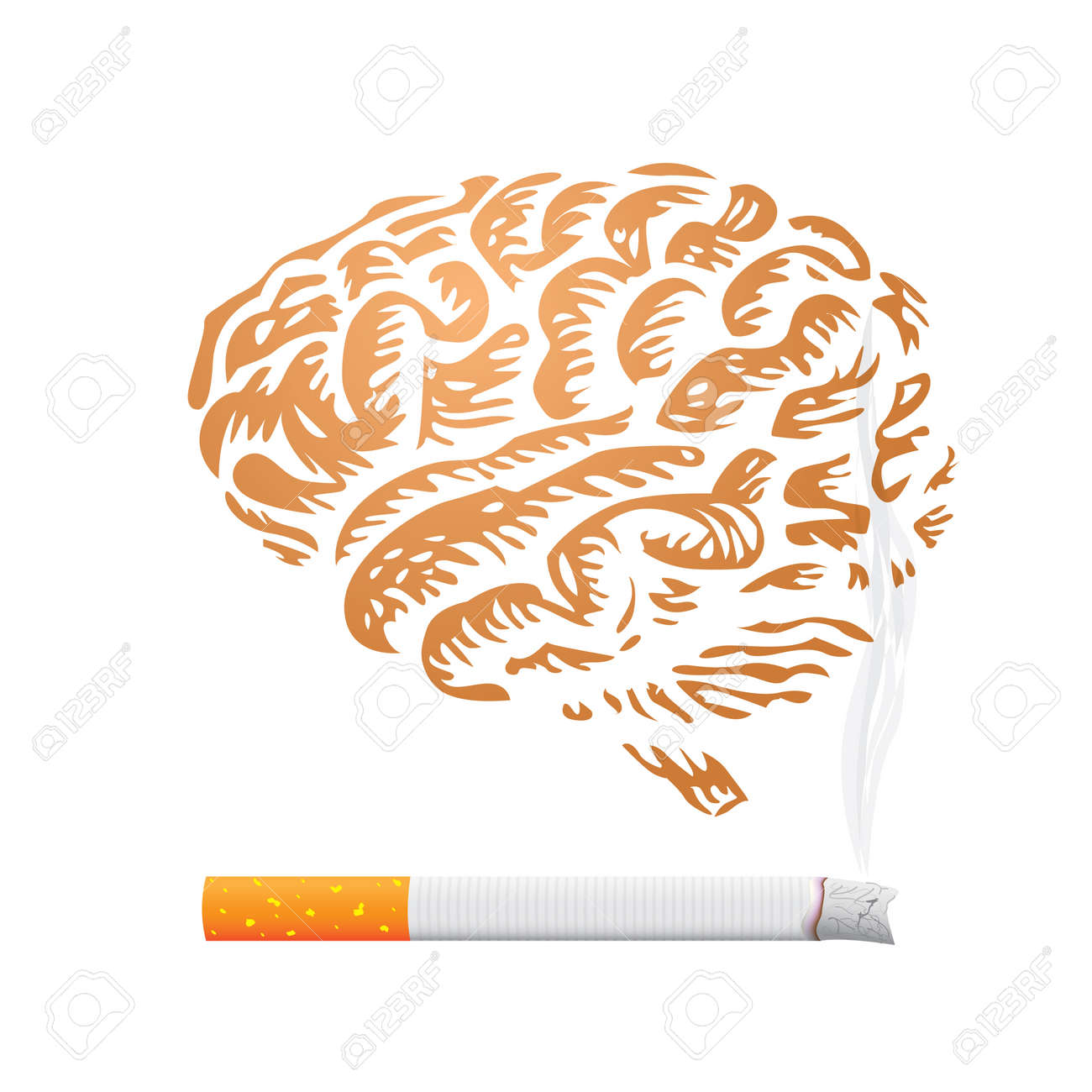 Cerebro y cigarrillo