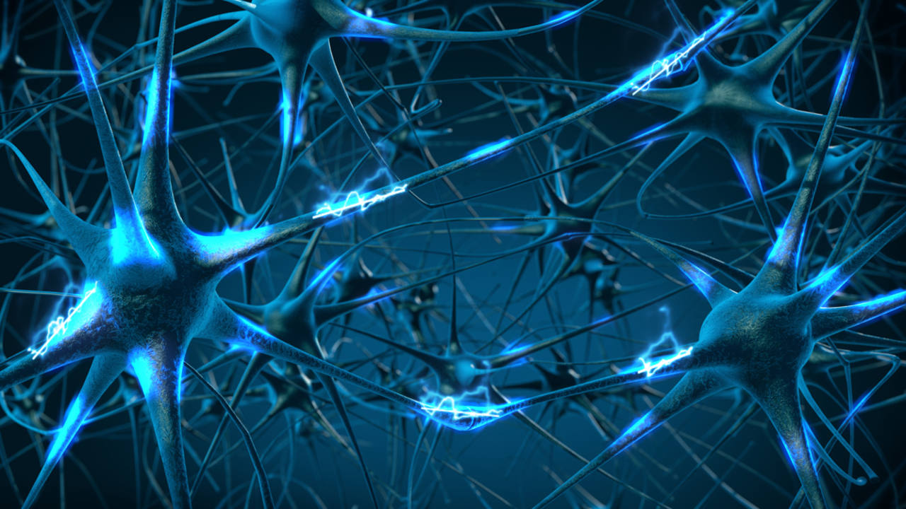 Conexiones neuronales en el cerebro