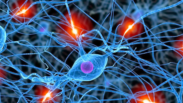 Investigaciones y avances en neuronas