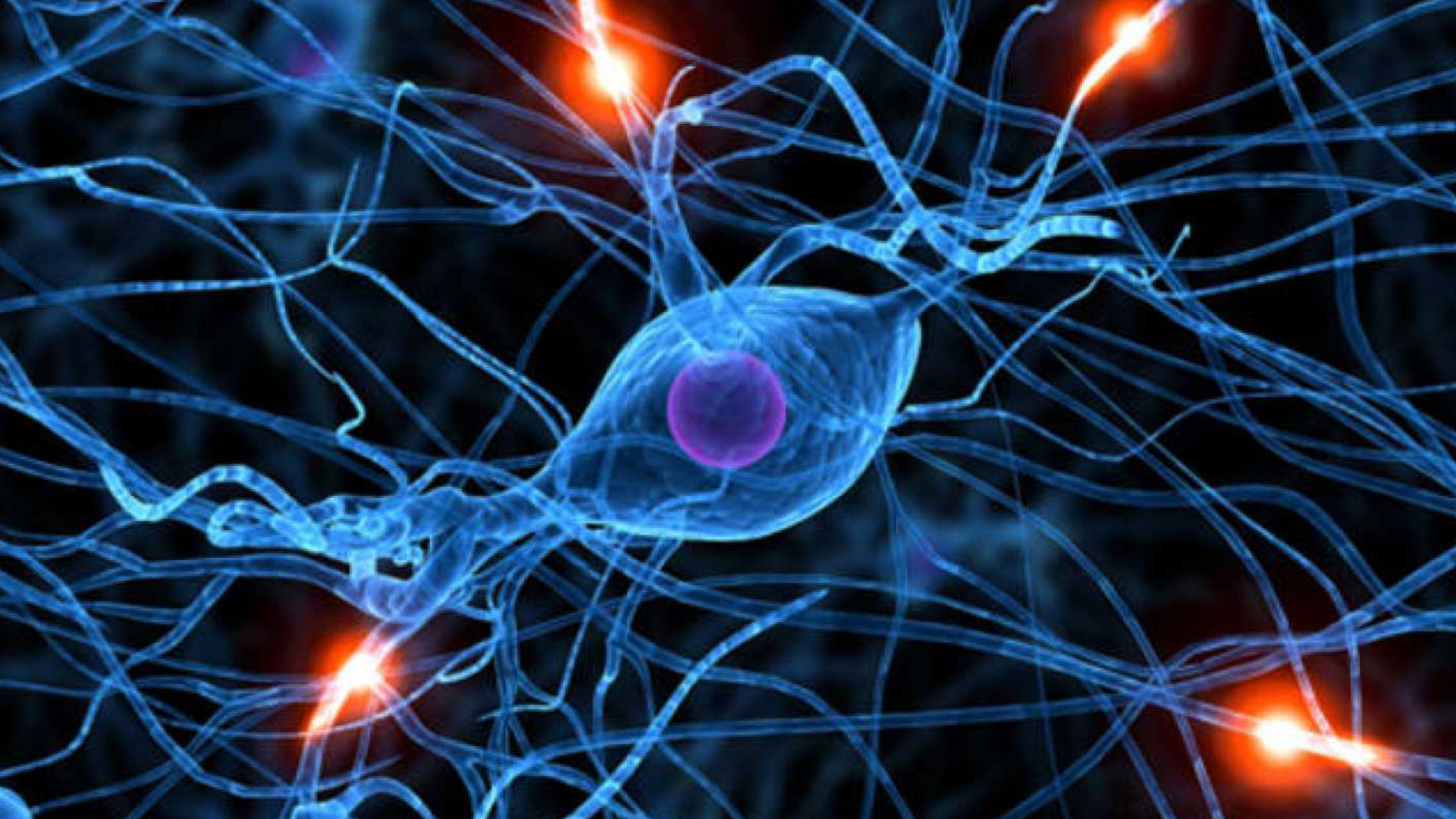Regeneración de neuronas epilépticas