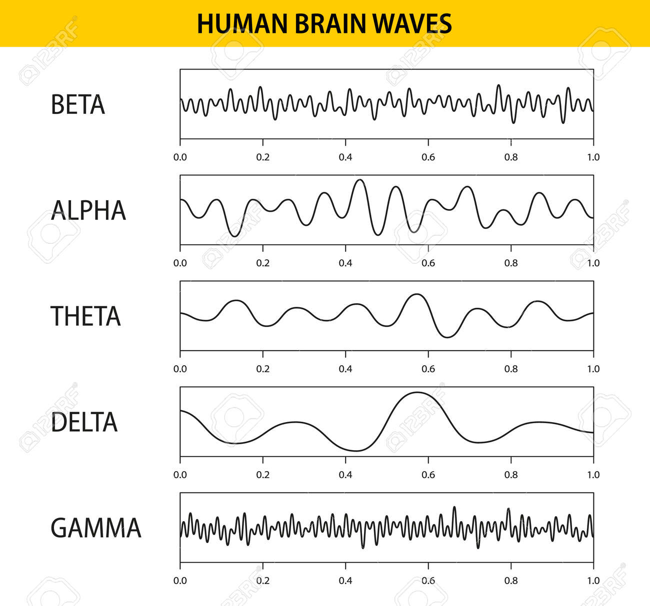 Investigación en ondas gamma