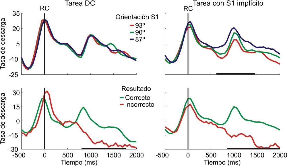 Gráfica comparativa de neuronas