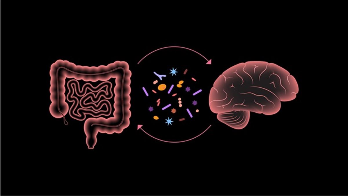 Microbioma intestinal y salud