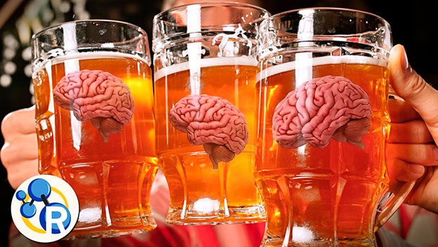 Cerebro y bebida alcohólica