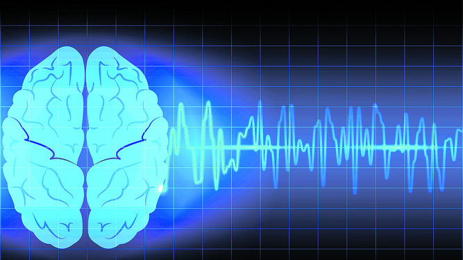 Factores ambientales y salud cerebral