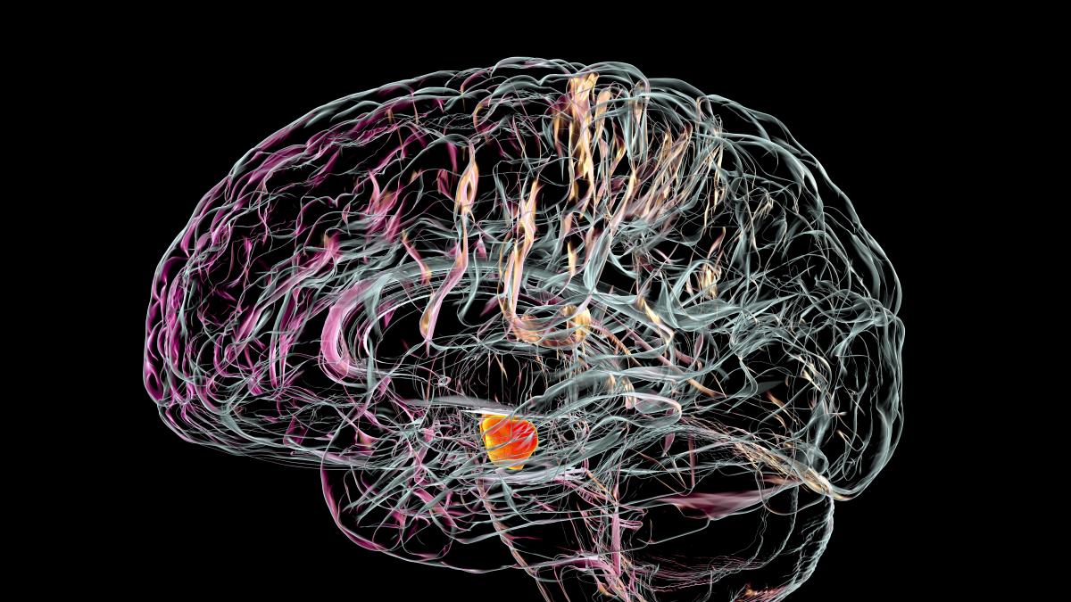 terapias alternativas y neuronas