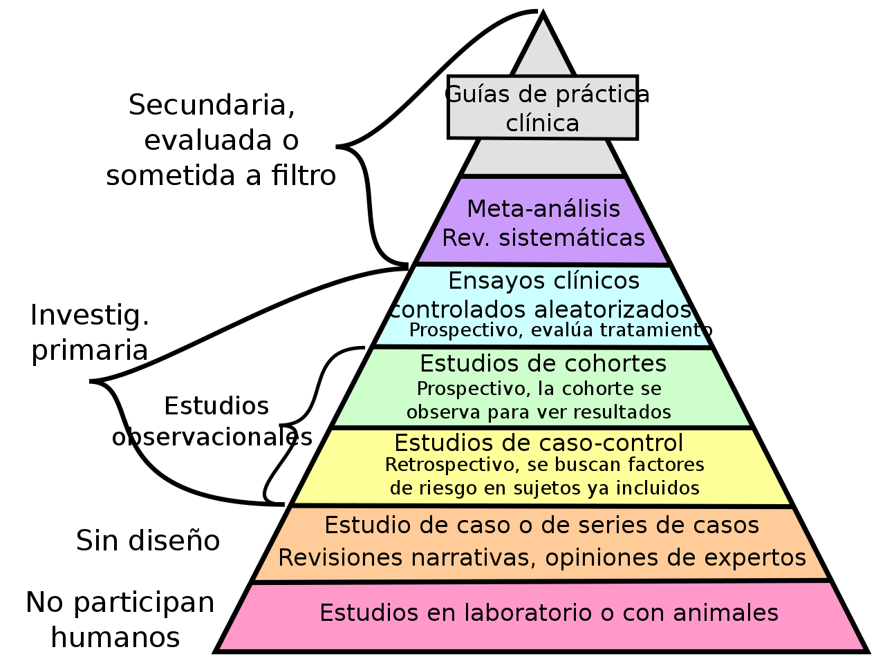 Estudios y resultados científicos