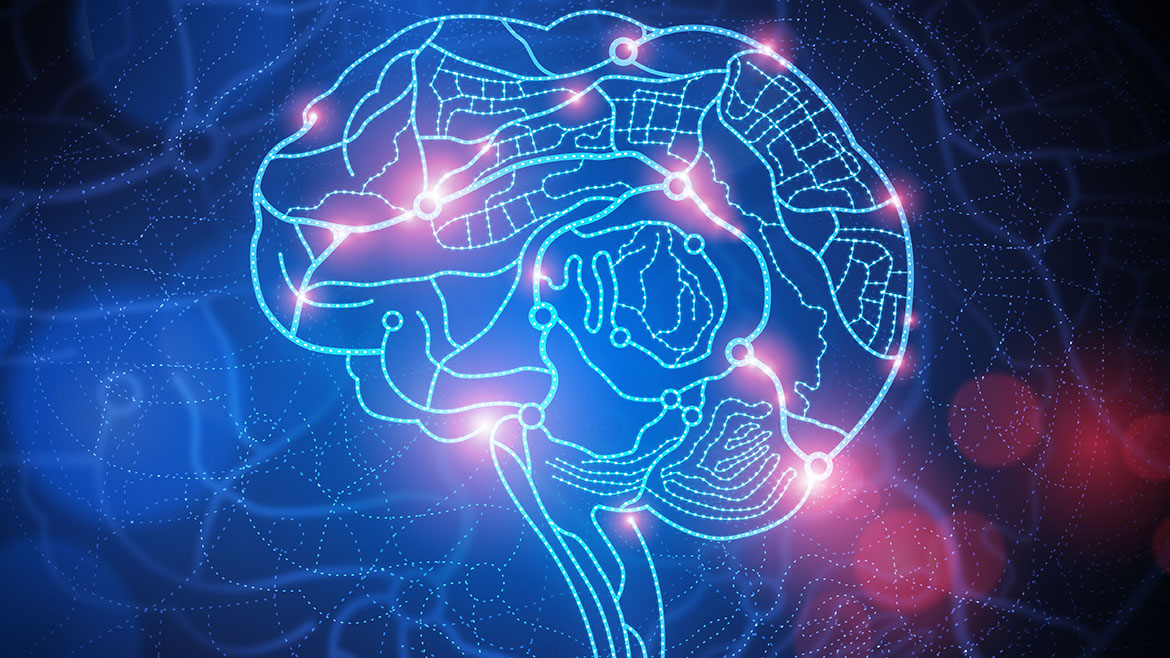 Cerebro y neuronas saludables