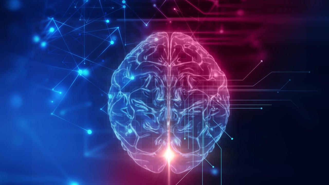 Cerebro y tecnología juntos