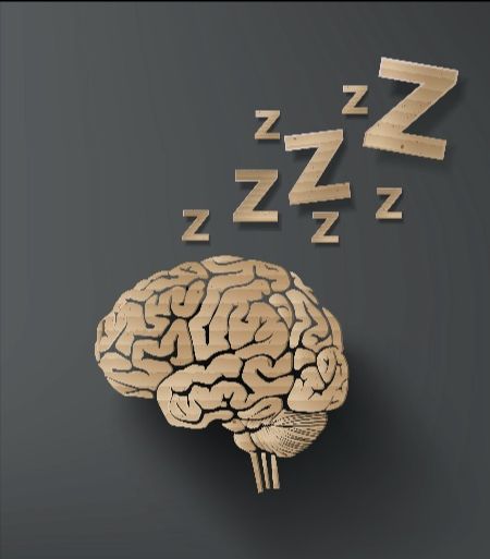 Cerebro humano sin dormir