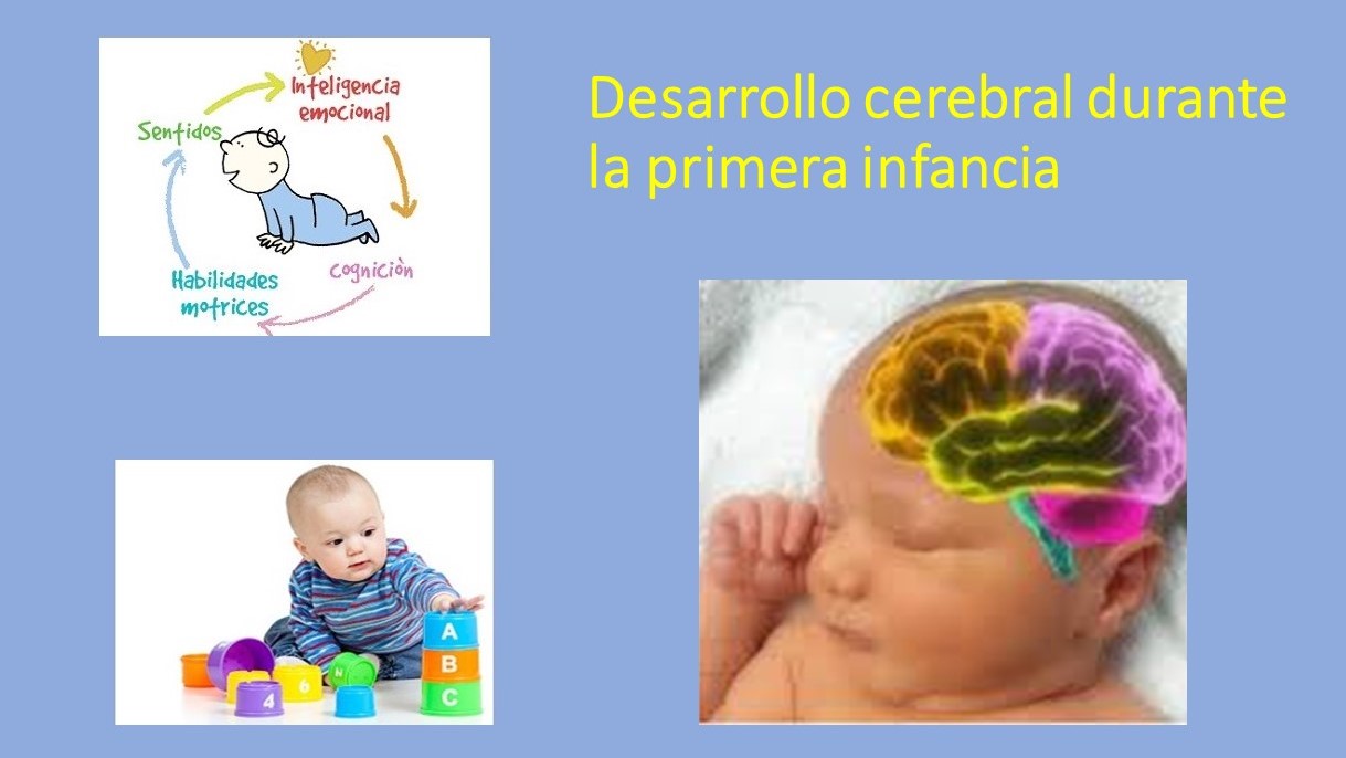 Neuronas en crecimiento y estimulación