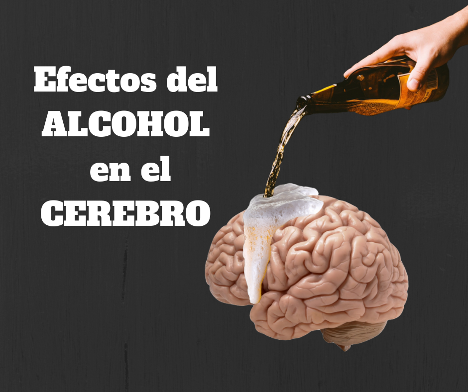 Cerebro dañado por alcohol