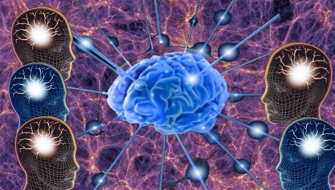 Neuronas y conexiones del sistema nervioso