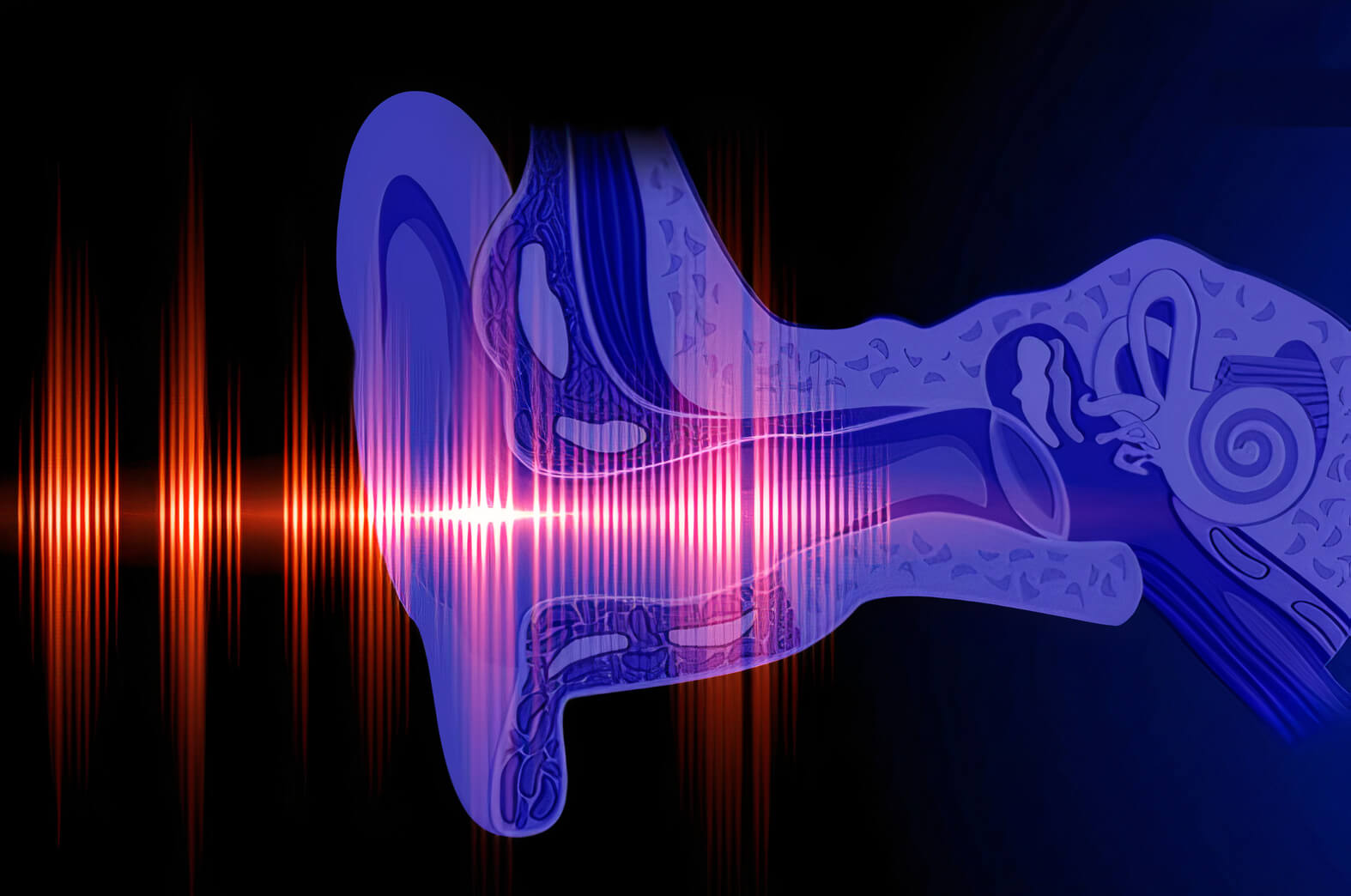 Oídos y ondas sonoras