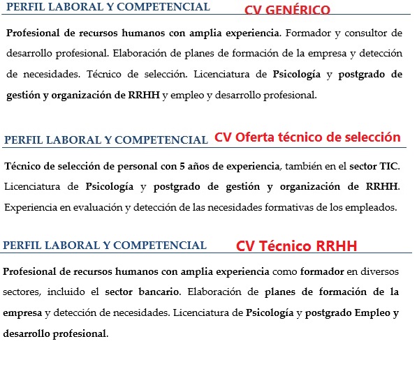 Perfil profesional solicitado