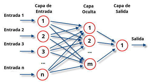 Neuronas y redes neuronales