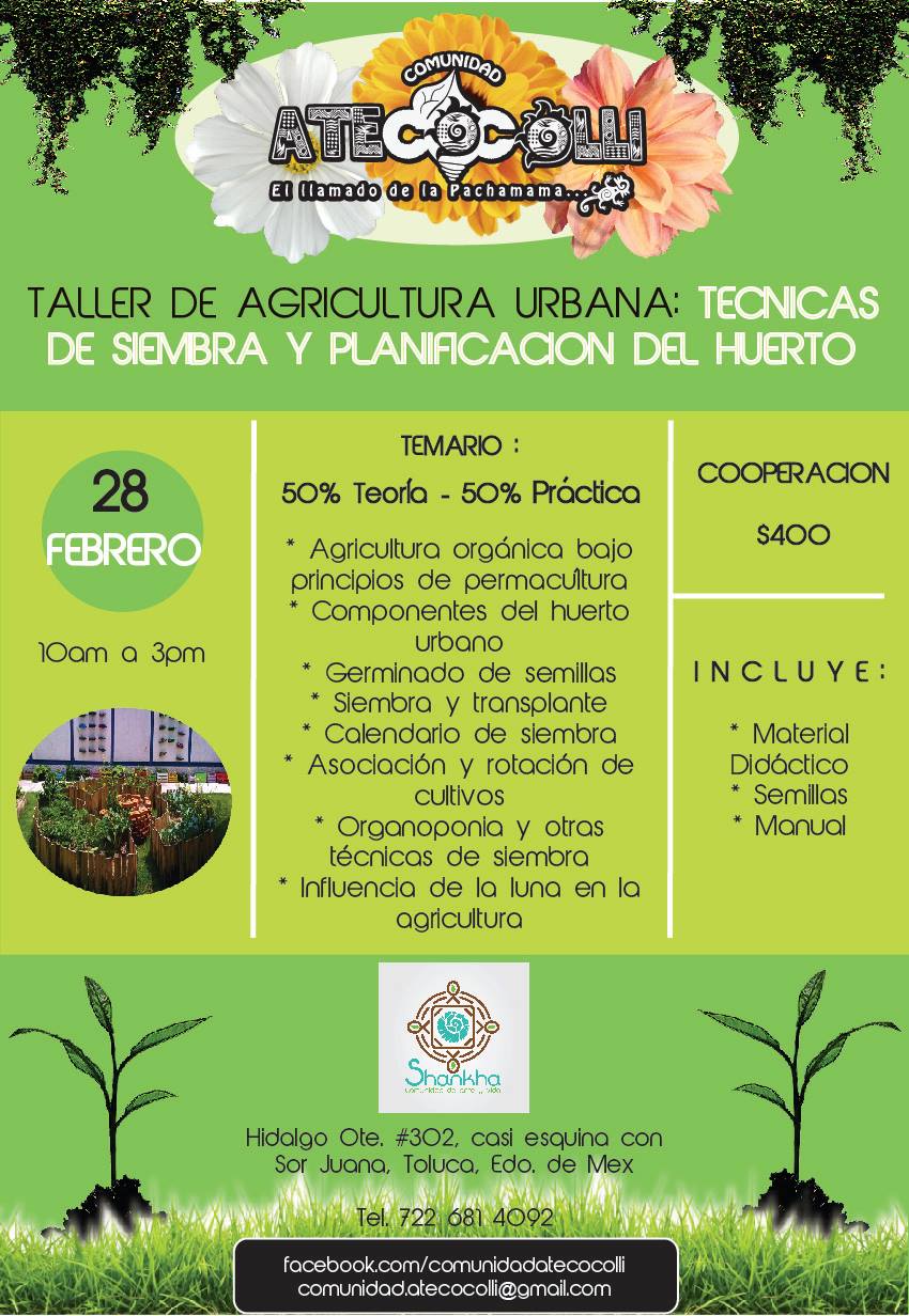 Técnicas de agricultura urbana