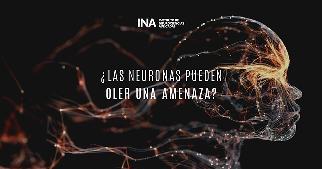 Tratamientos y neuronas en peligro