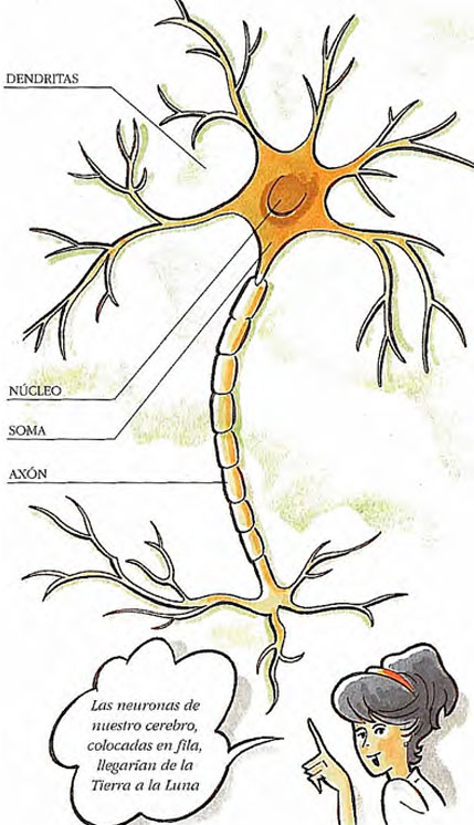 Neuronas enfermas y deterioradas