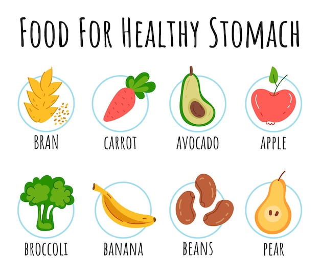 Alimentos saludables para el estómago