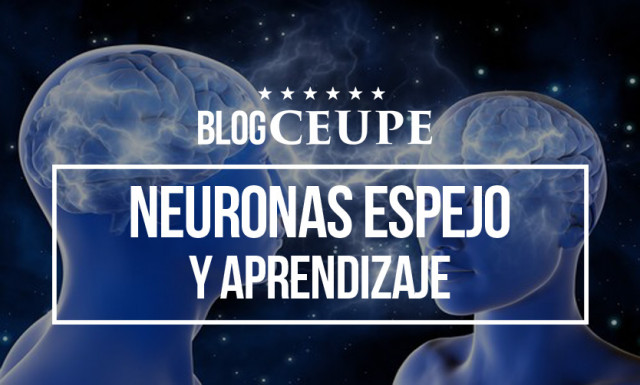 Neuronas y aprendizaje