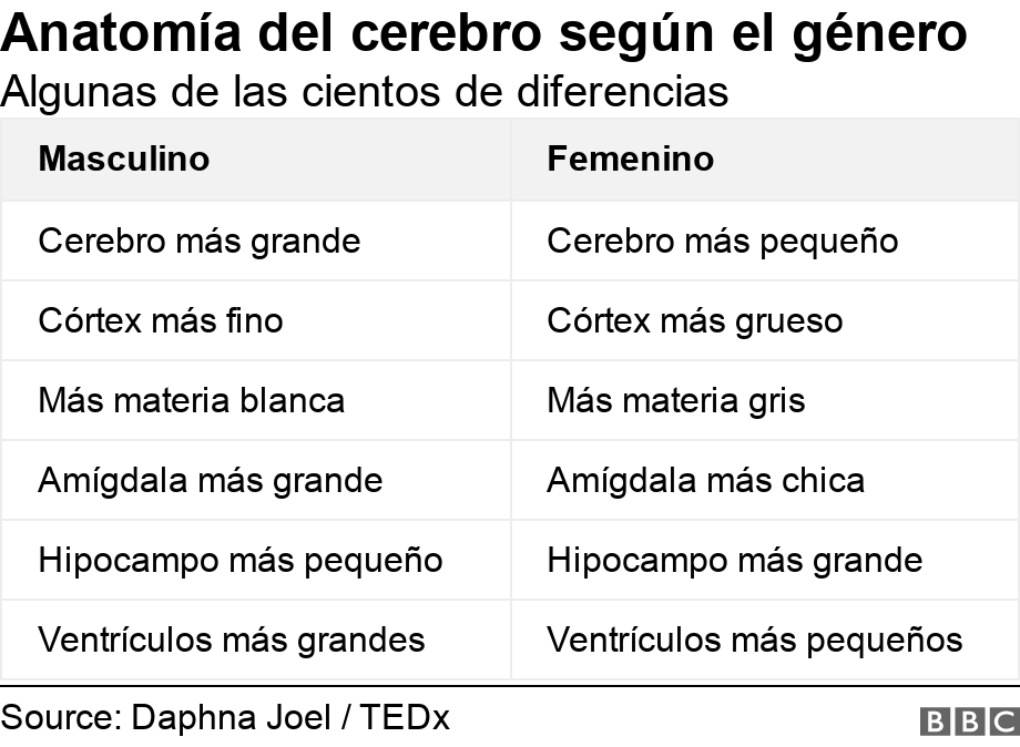 Comparación entre cerebros masculinos y femeninos