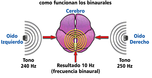 Frecuencias de ritmo binaural