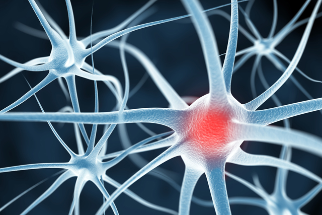 Células cerebrales y conexiones neuronales
