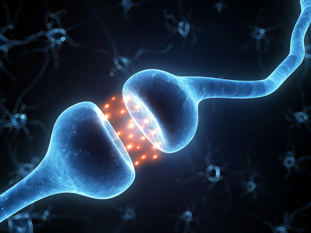 Conexiones neuronales en el cerebro