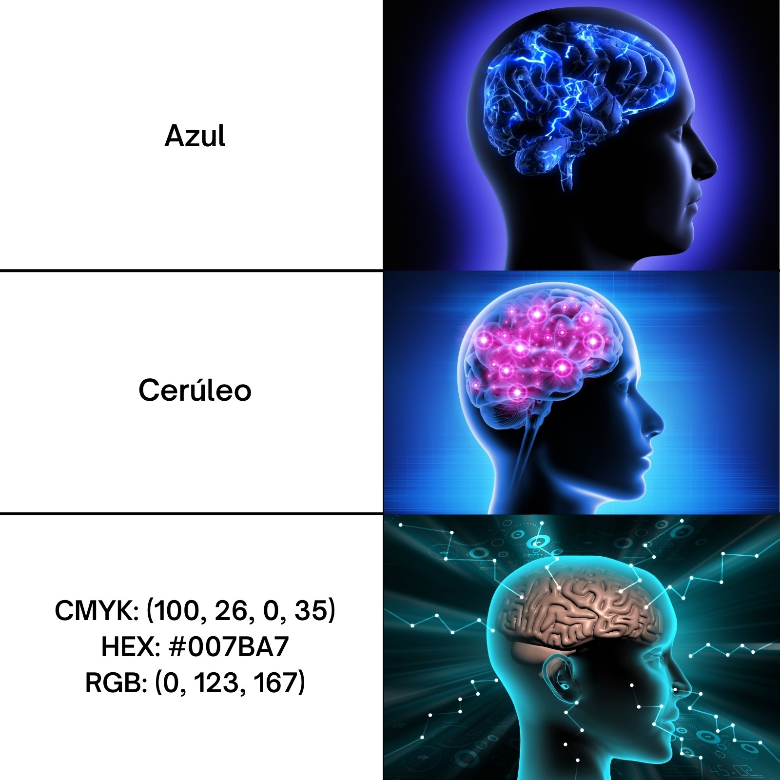 Cerebro en relación con memes