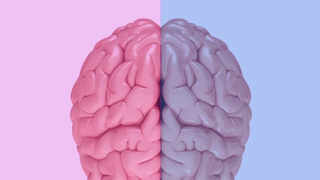 Diferencias cerebrales entre géneros