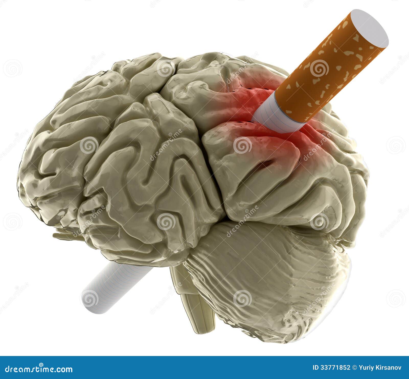 Cerebro y cigarrillo
