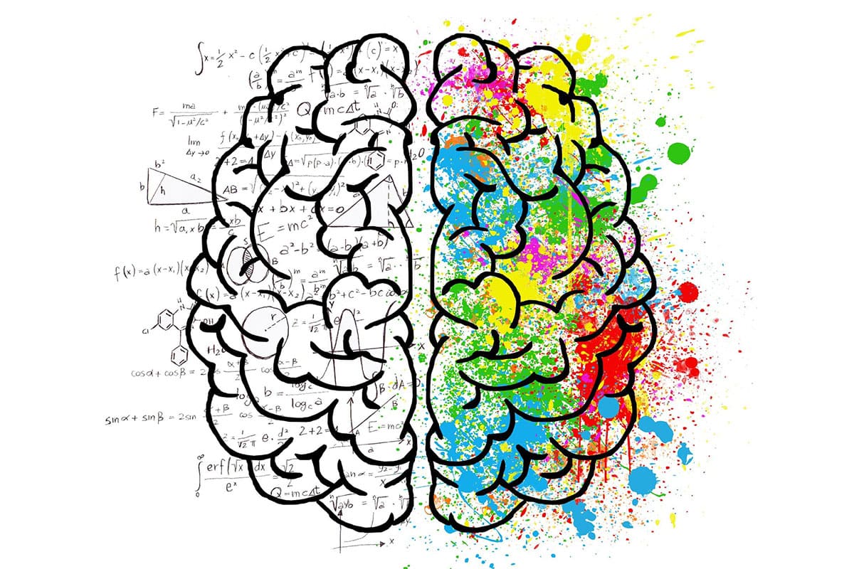 Cerebro y comportamiento juntos
