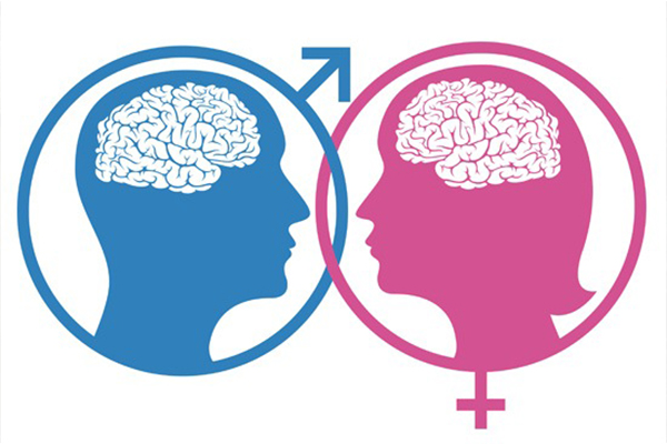 Diferencias de género en cerebro