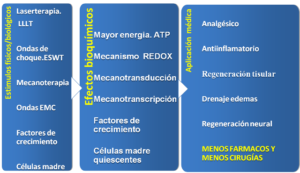 Biofisioterapia en diferentes técnicas