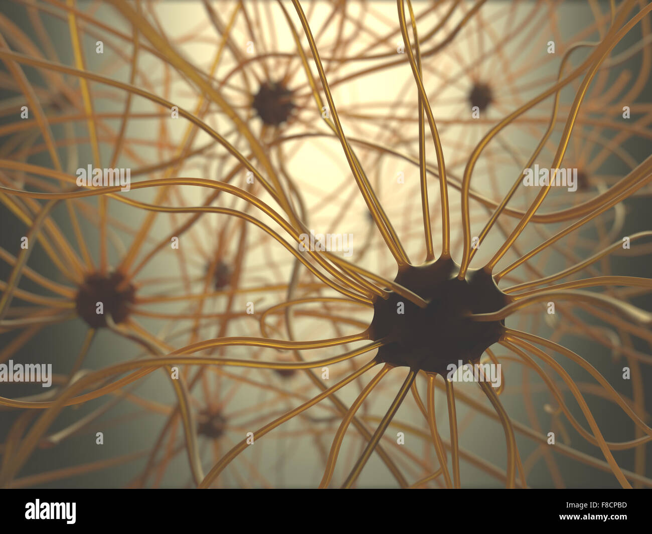 Neuronas interconectadas en el cerebro