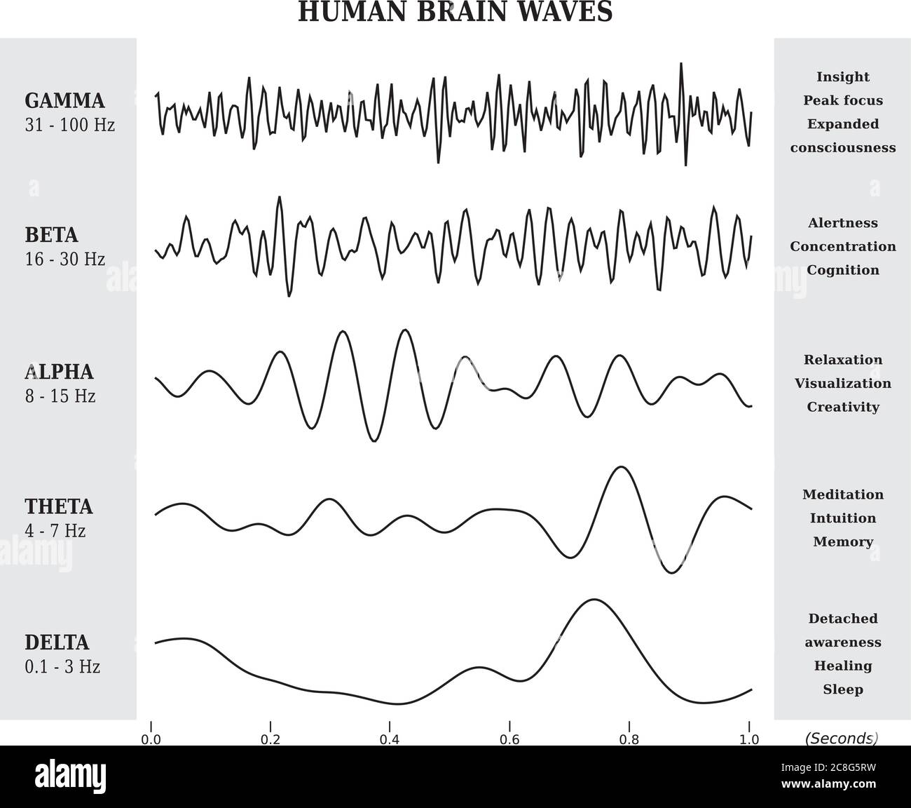 Gráficos de ondas cerebrales