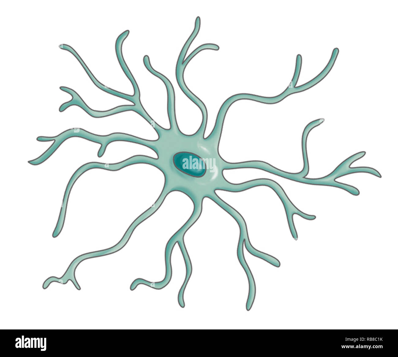 Una neurona en dibujo