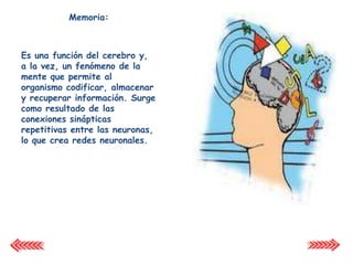 Información almacenada en diccionarios neuronales