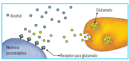 Drogas y alcohol en neuronas