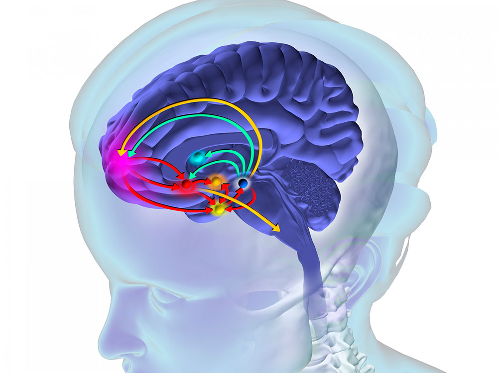 Cerebro afectado por drogas