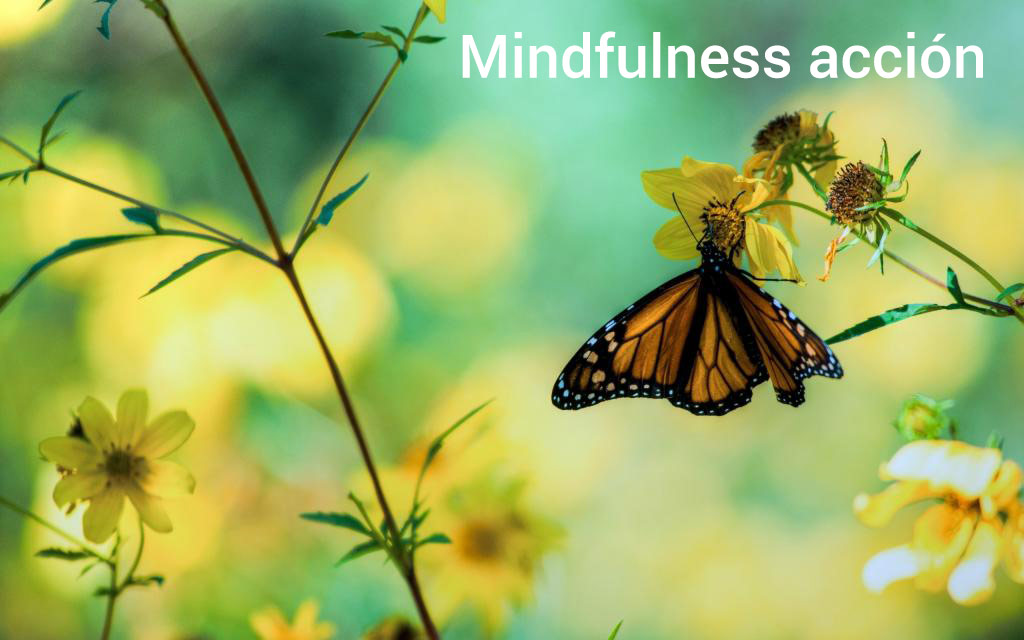 Mindfulness en acción