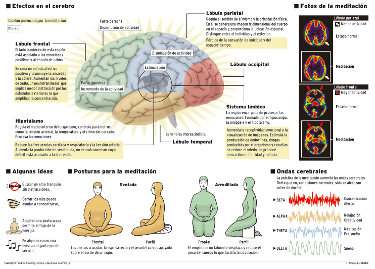 Cerebro en estado de relajación