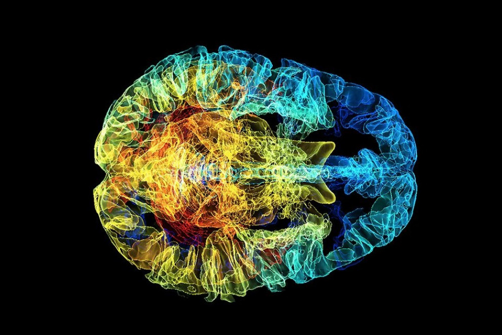 Neuronas y enfermedades neurológicas