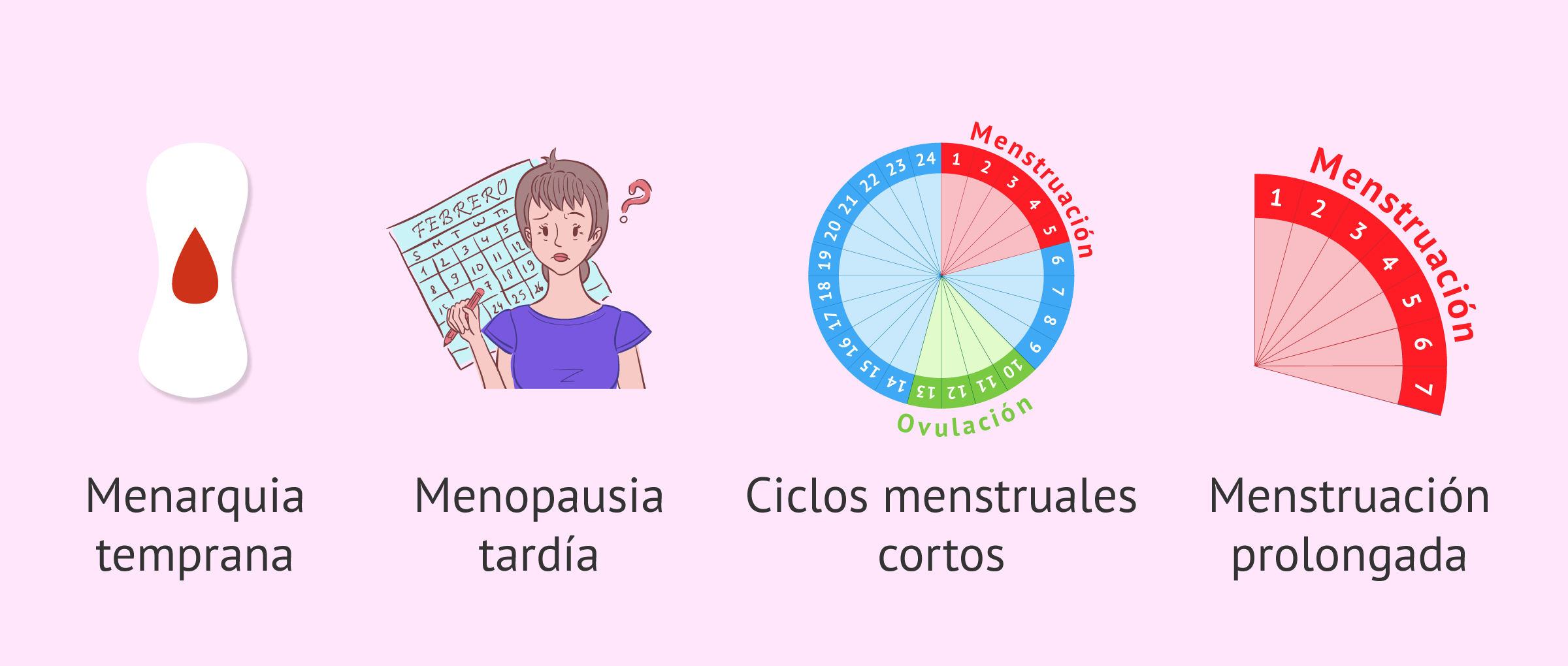 Endometrio y factores de riesgo