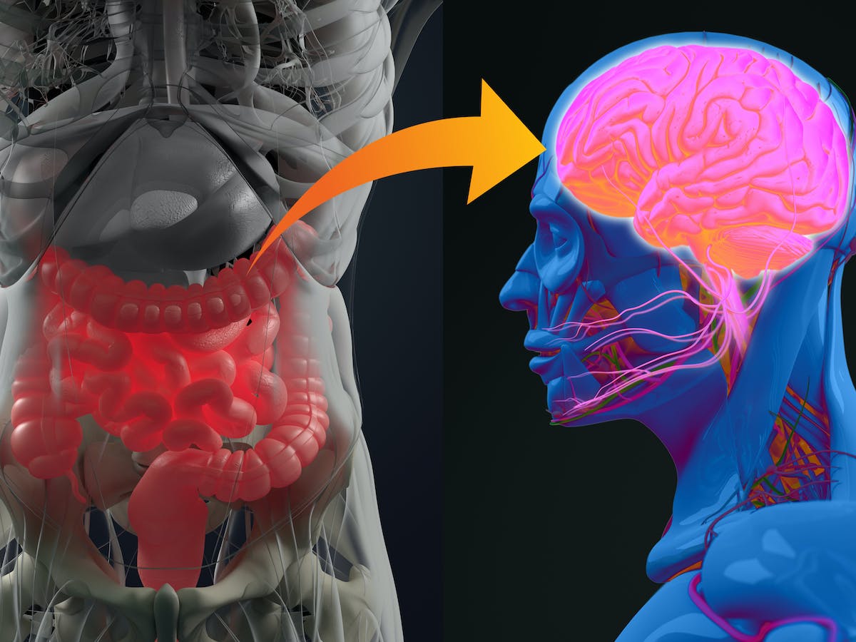 Cerebro y neurona trabajando juntos