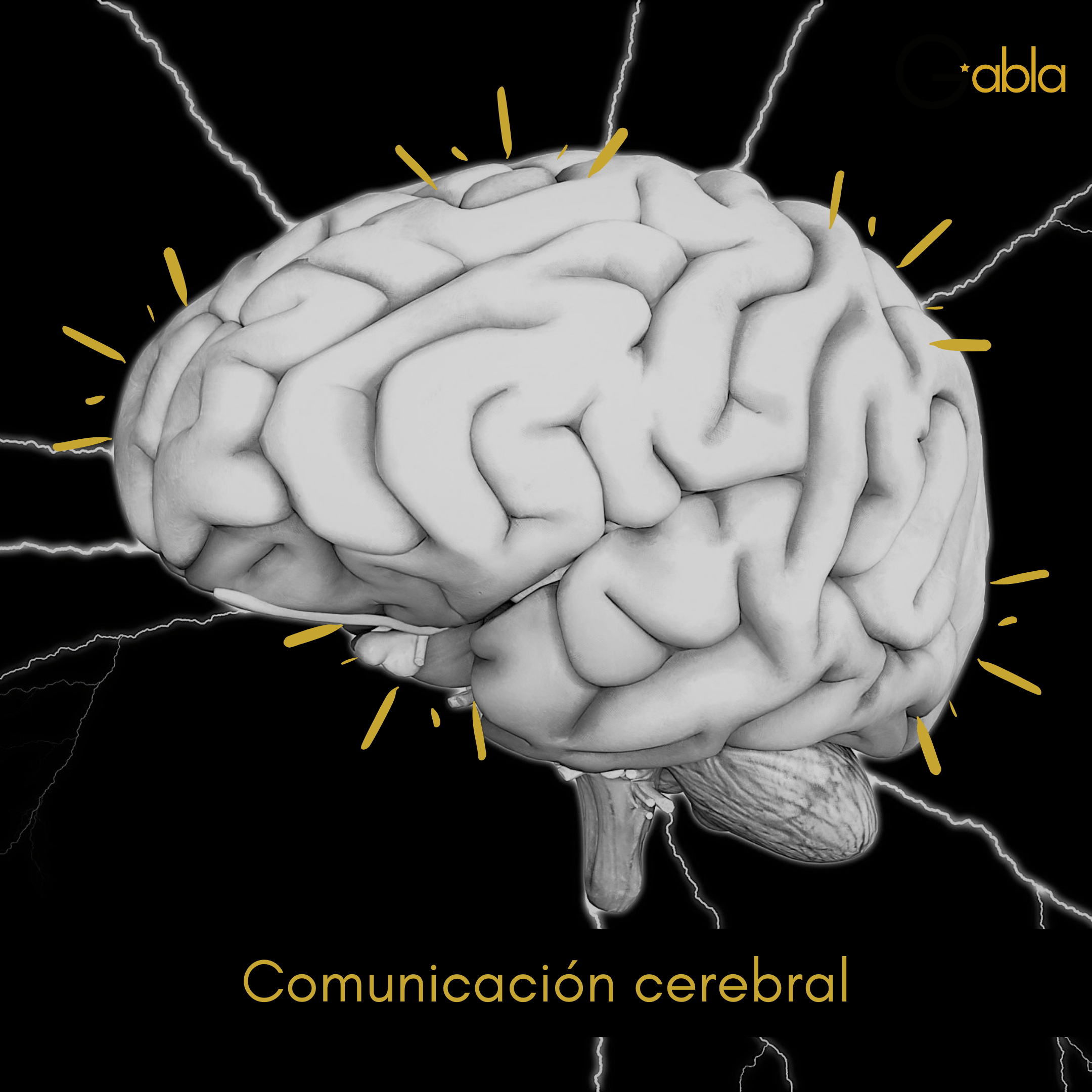 Neuronas y comunicación cerebral